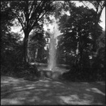 Fountain amidst foliage