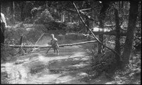 Young child barefoot in a creek