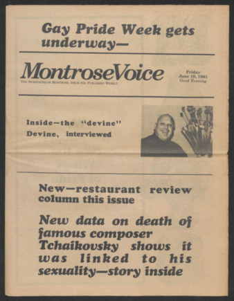 Montrose Voice, No. 34, June 19, 1981