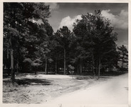 Woods around Veterans Village