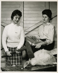 Turkey butchering demonstration