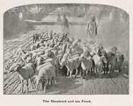 The Shepherd and his Flock