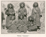 Tibetan Lamanis