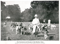 The Huntsman and Hounds of the Bombay Hunt