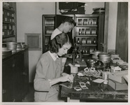 Geology students working in the laboratory