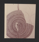 Prints of Hood early works