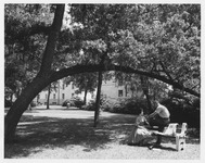 Couple in the Quadrangle courtyard