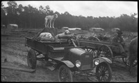 Group of dogs on a car at the Fords Lake Lumber Co.