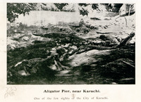Aligator Pier, near Karachi