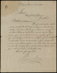 Letter from Porfirio Díaz to Angel W. Cabrera, 1902 January 8