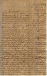 Letter from Mary Jones to Cromwell Anson Jones, 1869 July 11