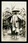 Filipino farmer