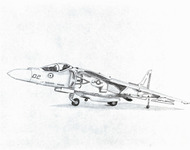 Sitting Pretty (Harrier AV-8)