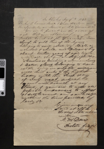 Judgment to proceed with sales and hire of enslaved men, women, and children