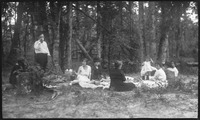 Picnic in a wooded area