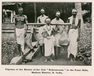 Pilgrims to the Shrine of the God 'Subramania' in the Palni Hills Madura District, S. India