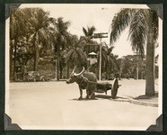 A form of local transport in Manila