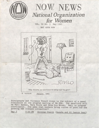NOW News Bay Area Chapter, Vol. 9, No. 5, May 1981