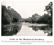 Lake in the Botanical Gardens