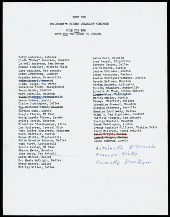 Pro-women's rights delegate nominees