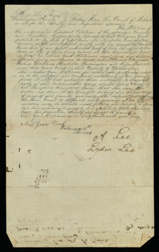 Petition for land partition for the Lee family