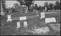 Headstones in a cemetery