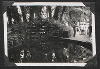 A pond inside a park