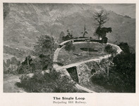 The Single Loop
