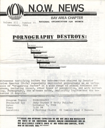 NOW News Bay Area Chapter, Vol. 12, No. 11, November 1984
