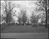 Memorial wreaths at grave site