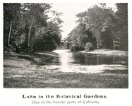 Lake in the Botanical Gardens