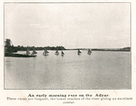 An early morning race on the Adyar