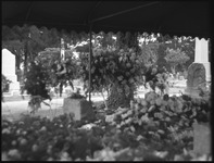 Flower arrangments in a graveyard