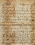 Letter from Mary Jones to Cromwell Anson Jones, 1873 April 18