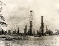 Oil derricks with shrubbery