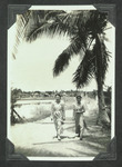 Two women under a palm tree