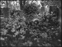 Flowers at a grave