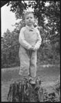 Boy standing on tree stump