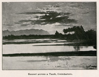 Sunset across a Tank, Coimbatore