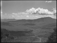 Landscape with trees and mountains