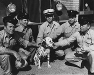 Station 28 firefighters and Dalmatian