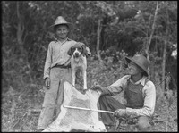 Man measuring tree rings