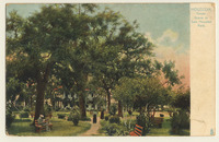 Scene in Sam Houston Park, Houston, Texas 