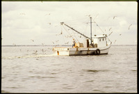 Shrimper on boat