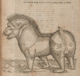 The second kind of Hyaena, called Papio or Dabuh