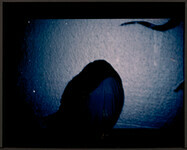 H-217-II (Fotofest '90)