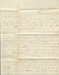 Letter from Mary Jones to Cromwell Anson Jones, 1878 October 25
