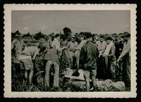 Men gathered in field, evacuation of POWs