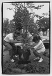 Tree planting for Earth Day