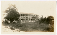 Construction of the Houston Negro Hospital, through foliage